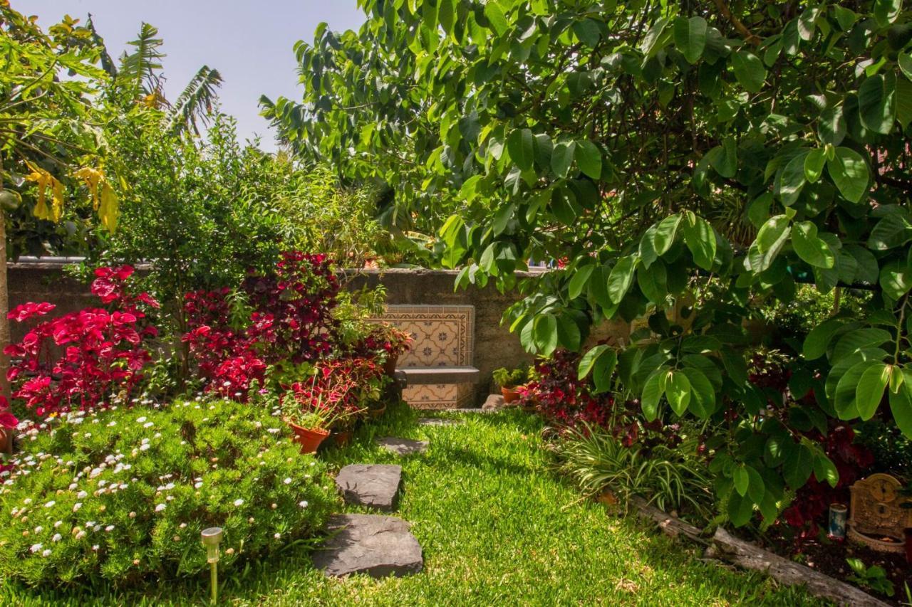 Casa Da Bungavillia